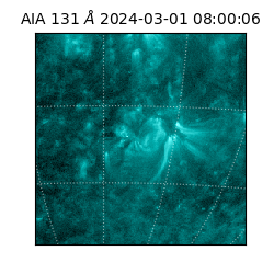 saia - 2024-03-01T08:00:06.622000