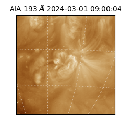 saia - 2024-03-01T09:00:04.843000