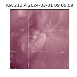 saia - 2024-03-01T09:00:09.626000