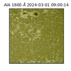 saia - 2024-03-01T09:00:14.125000