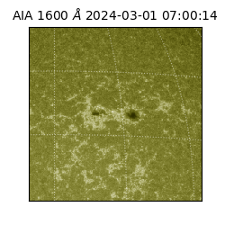 saia - 2024-03-01T07:00:14.125000