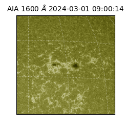 saia - 2024-03-01T09:00:14.125000