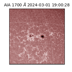 saia - 2024-03-01T19:00:28.718000