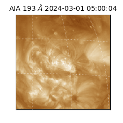 saia - 2024-03-01T05:00:04.843000