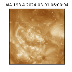 saia - 2024-03-01T06:00:04.843000