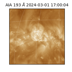 saia - 2024-03-01T17:00:04.843000