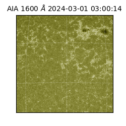 saia - 2024-03-01T03:00:14.125000