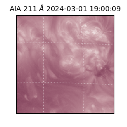 saia - 2024-03-01T19:00:09.625000