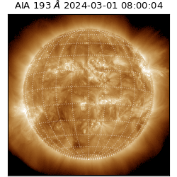 saia - 2024-03-01T08:00:04.843000