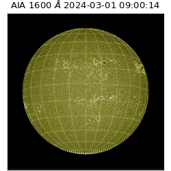 saia - 2024-03-01T09:00:14.125000