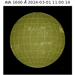 saia - 2024-03-01T11:00:14.118000