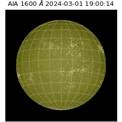 saia - 2024-03-01T19:00:14.125000