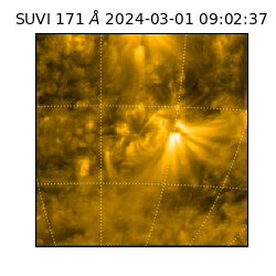 suvi - 2024-03-01T09:02:37.312000