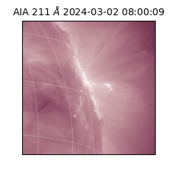 saia - 2024-03-02T08:00:09.626000