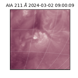 saia - 2024-03-02T09:00:09.626000