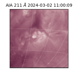 saia - 2024-03-02T11:00:09.630000