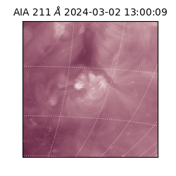 saia - 2024-03-02T13:00:09.626000