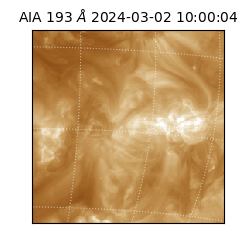 saia - 2024-03-02T10:00:04.843000