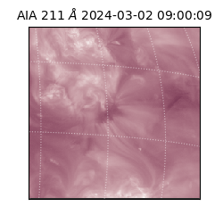 saia - 2024-03-02T09:00:09.626000