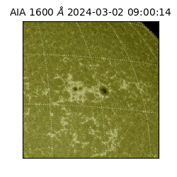 saia - 2024-03-02T09:00:14.129000