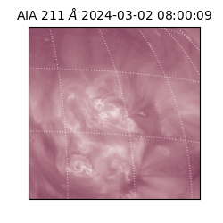 saia - 2024-03-02T08:00:09.626000