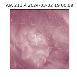 saia - 2024-03-02T19:00:09.632000