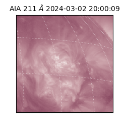 saia - 2024-03-02T20:00:09.626000