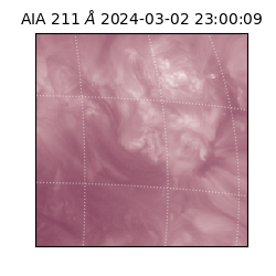 saia - 2024-03-02T23:00:09.626000