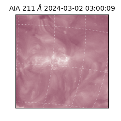 saia - 2024-03-02T03:00:09.630000