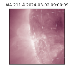 saia - 2024-03-02T09:00:09.626000