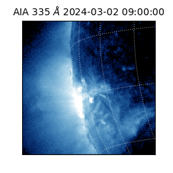 saia - 2024-03-02T09:00:00.626000