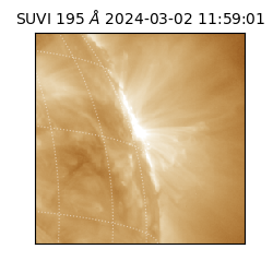 suvi - 2024-03-02T11:59:01.295000