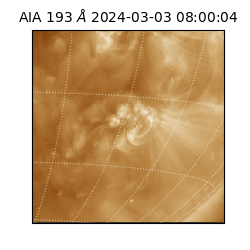 saia - 2024-03-03T08:00:04.843000
