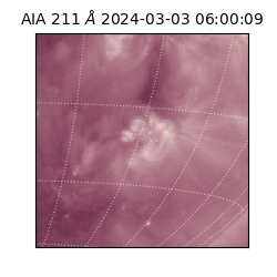 saia - 2024-03-03T06:00:09.625000