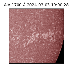 saia - 2024-03-03T19:00:28.717000