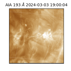 saia - 2024-03-03T19:00:04.843000