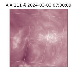 saia - 2024-03-03T07:00:09.626000