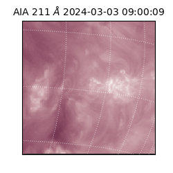 saia - 2024-03-03T09:00:09.626000