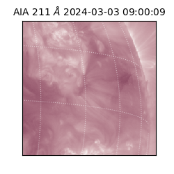 saia - 2024-03-03T09:00:09.626000