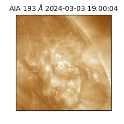 saia - 2024-03-03T19:00:04.843000