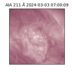 saia - 2024-03-03T07:00:09.626000