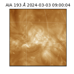 saia - 2024-03-03T09:00:04.843000