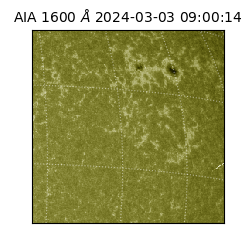 saia - 2024-03-03T09:00:14.125000