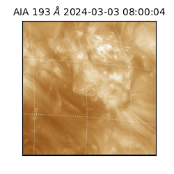 saia - 2024-03-03T08:00:04.843000