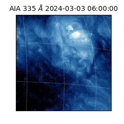 saia - 2024-03-03T06:00:00.619000