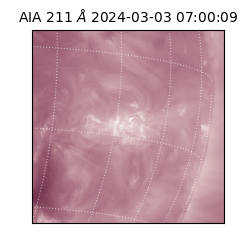 saia - 2024-03-03T07:00:09.626000