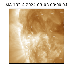 saia - 2024-03-03T09:00:04.843000