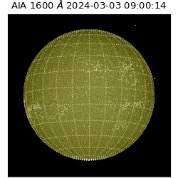 saia - 2024-03-03T09:00:14.125000
