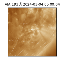 saia - 2024-03-04T05:00:04.846000