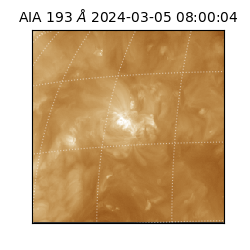 saia - 2024-03-05T08:00:04.843000